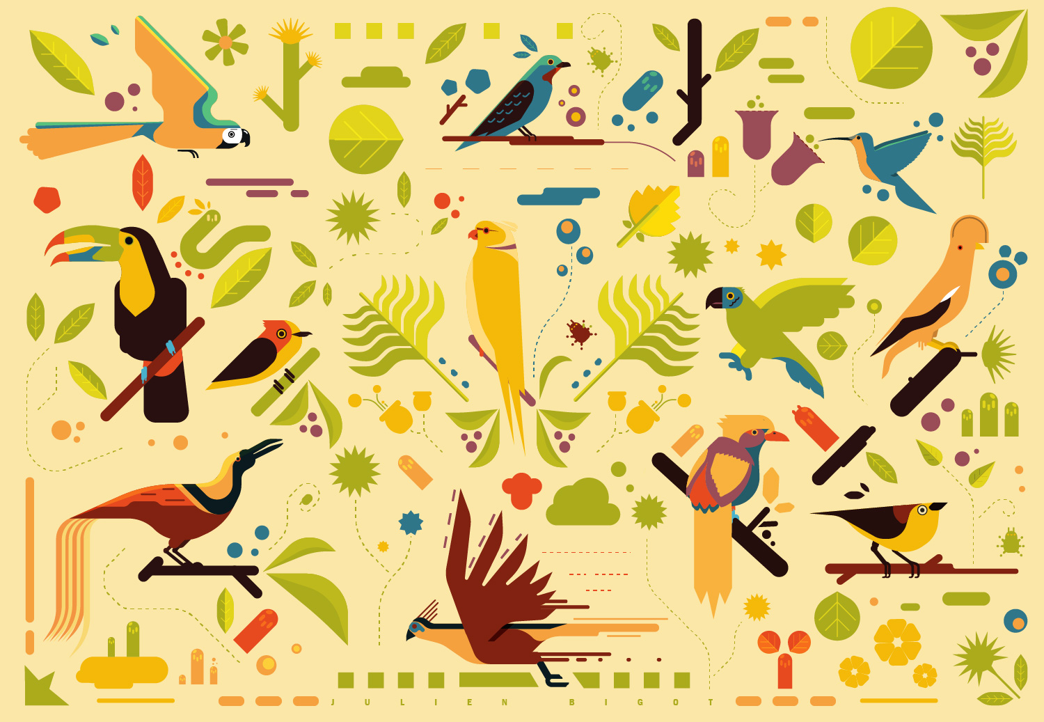 Oiseaux d’Amazonie