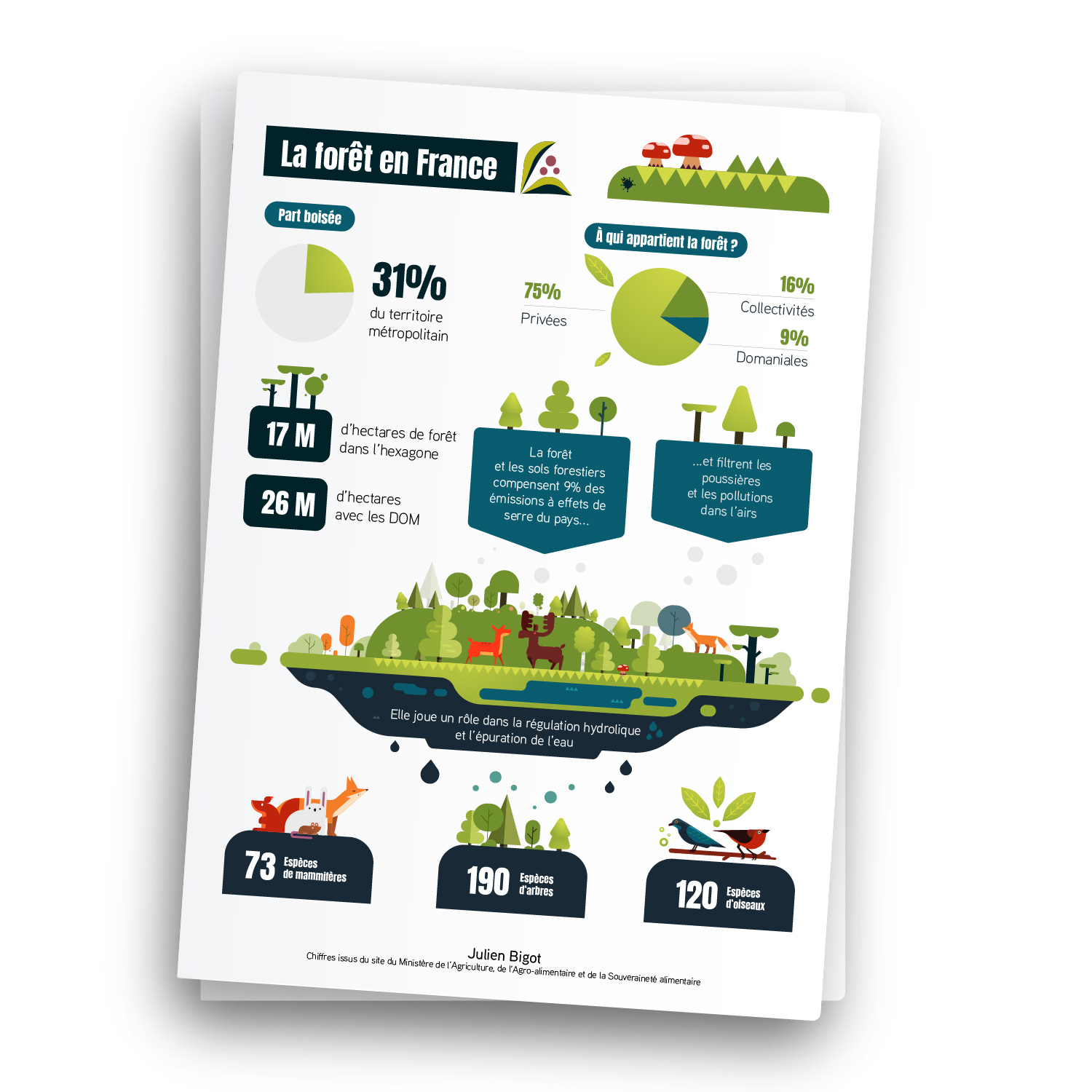 French Forest Statistics and Ecological Impact Infographic