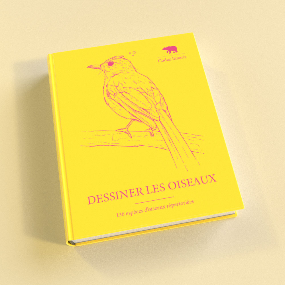 From Sketch to Shelf: Naturalistic Ink Illustration