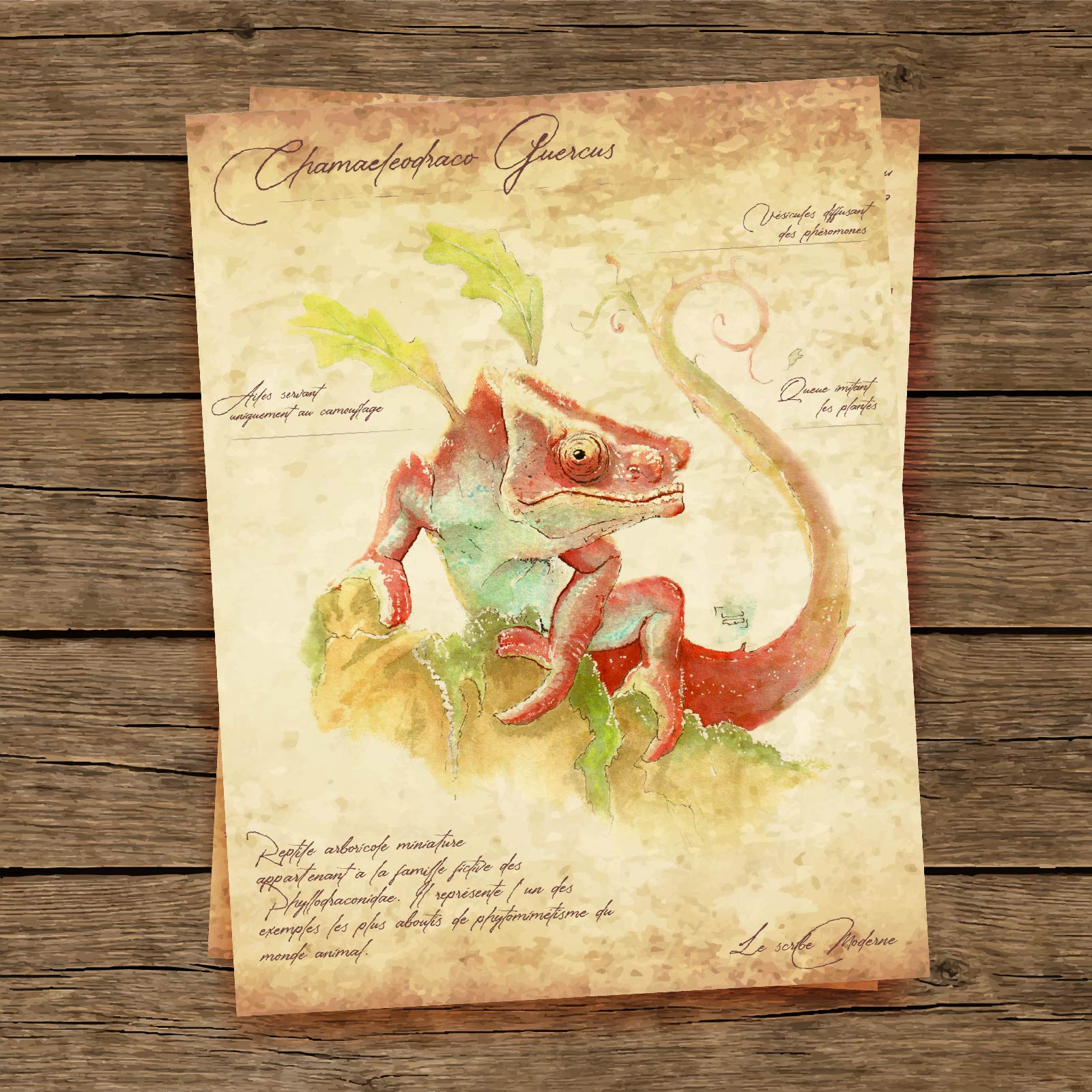 Little leafy dragon